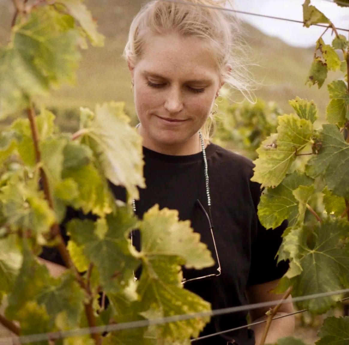 Hella Chenin Wine Fest Pre-Party! @ Vine St. Wednesday, April 30th