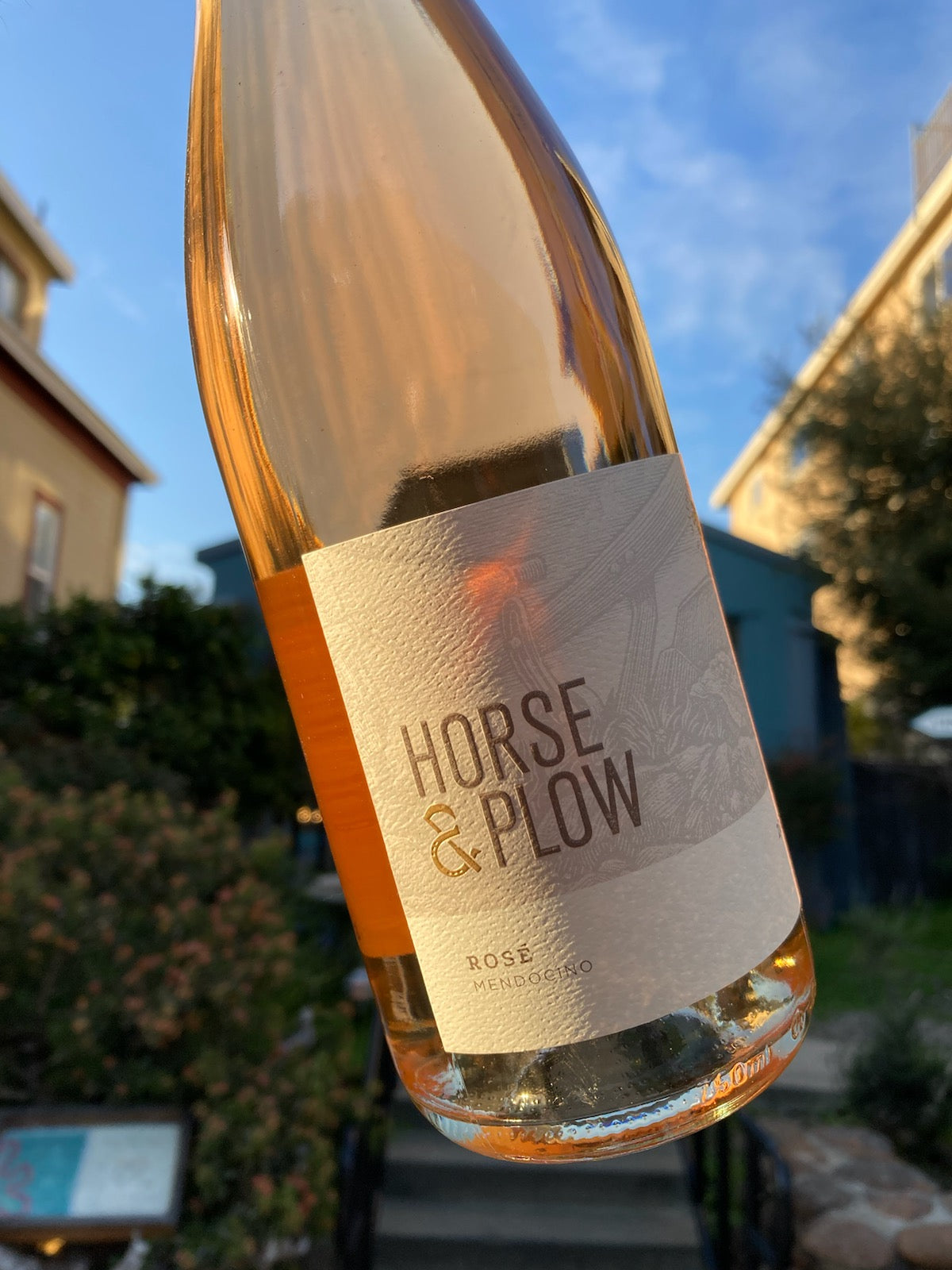 Horse & Plow w/ Suzanne Hagins @ Vine St. Friday, March 28th