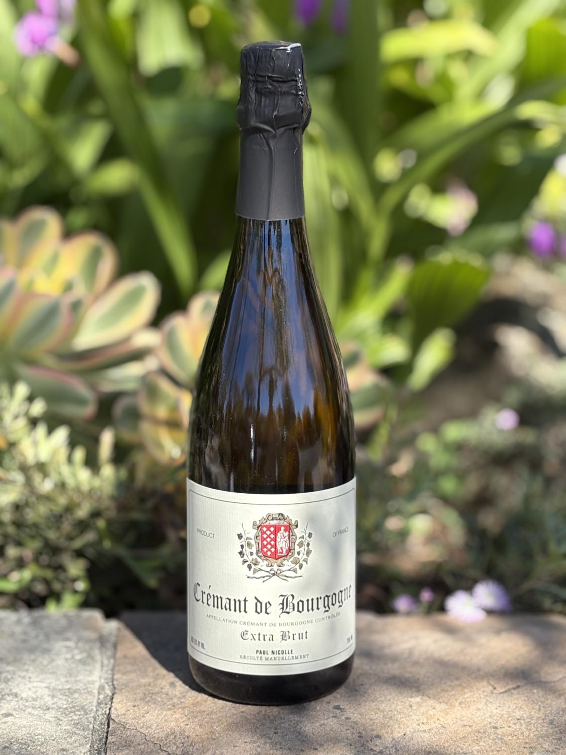 NV Paul Nicolle Cremant de Bourgogne