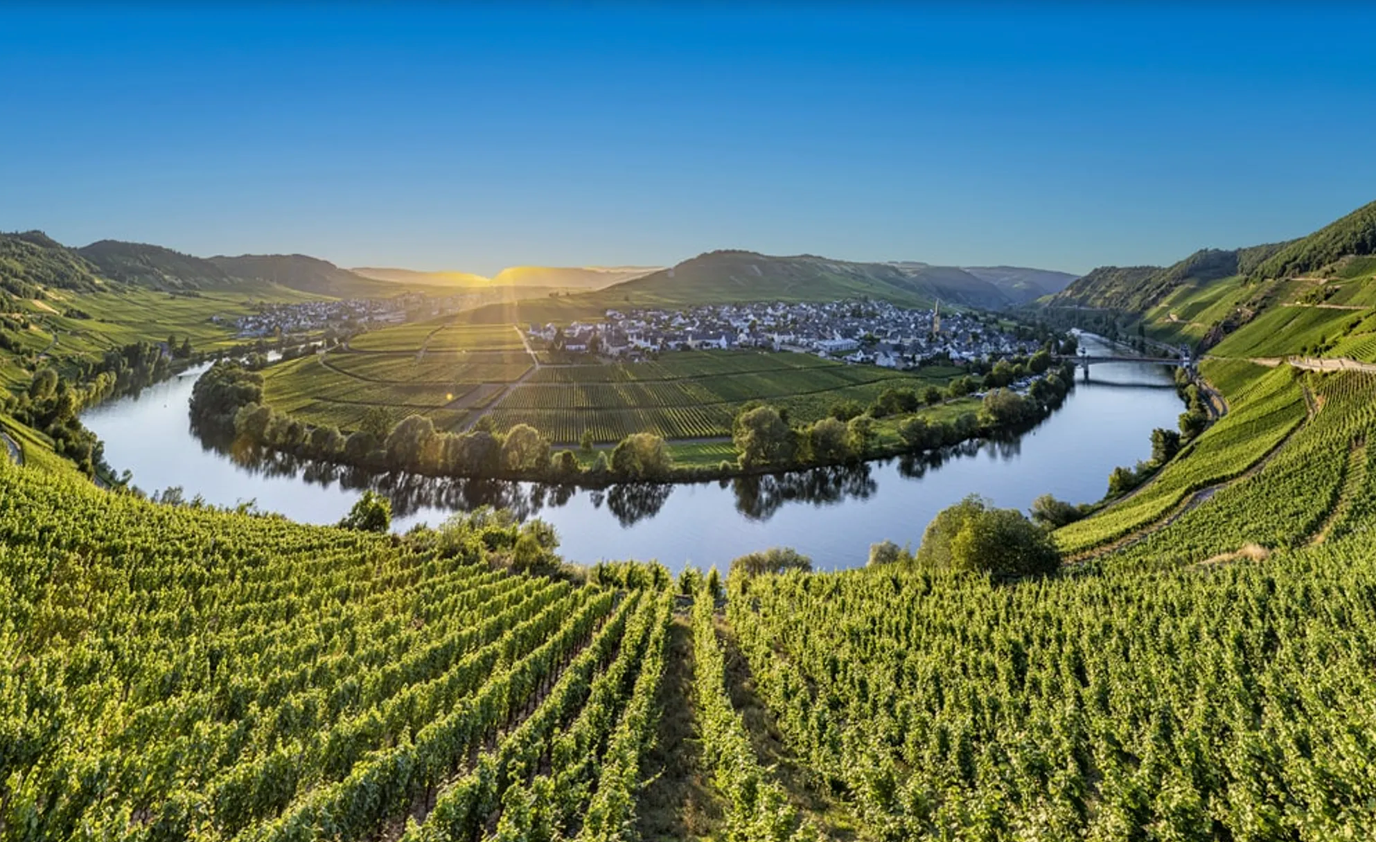 German Riesling Equinox @ College Ave. Friday, March 21st