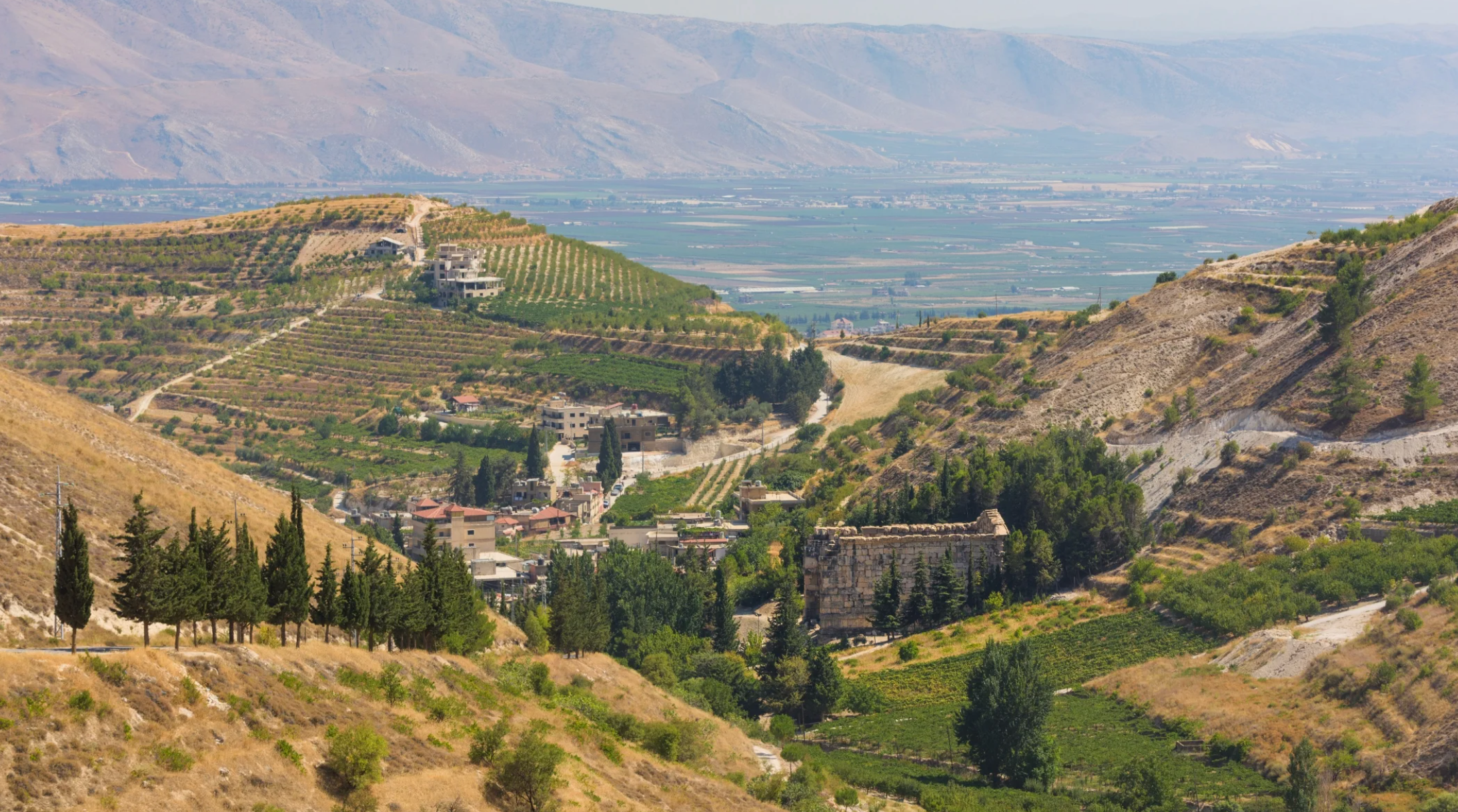 Lebanese Wine Tasting @ Vine St. Friday, July 10th