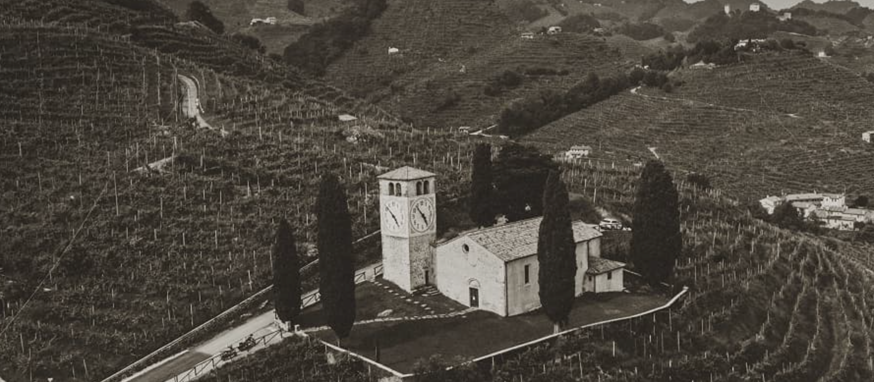Italian Wine Tasting w/ Portavino Imports @ Vine St. Friday, August 7th