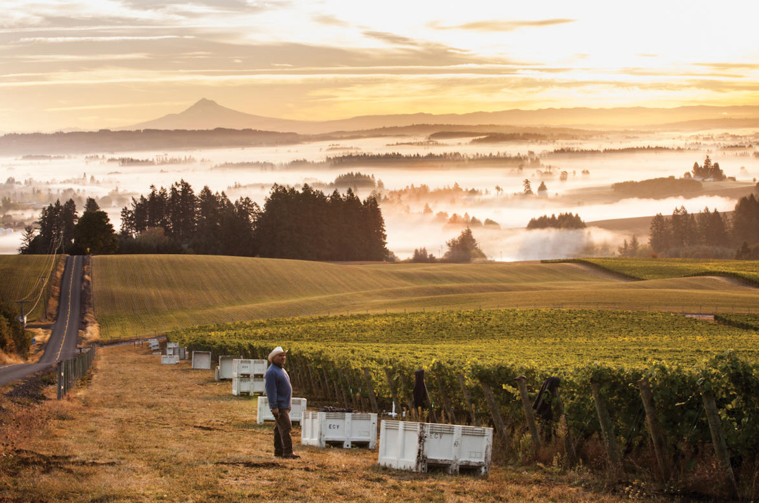 Oregon on the Mind: Willamette Valley @ College Ave. Thursday, April 24th