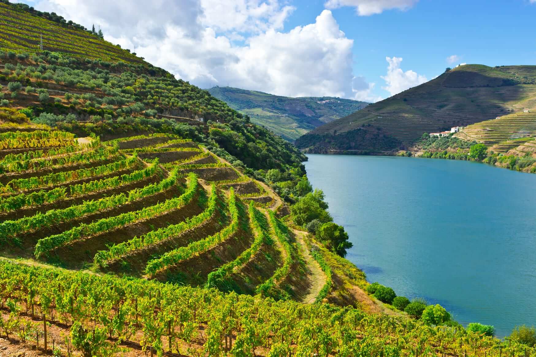 Exploring Portugal: Vino Verde to White Port @ College Ave. Thursday, July 9th