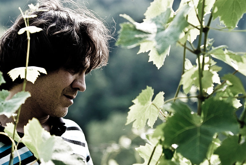 Ferdinando Principiano @ Vine October 12